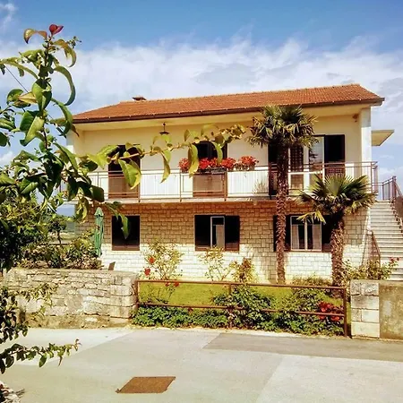 Palma بازين