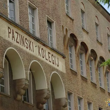 Palma بازين
